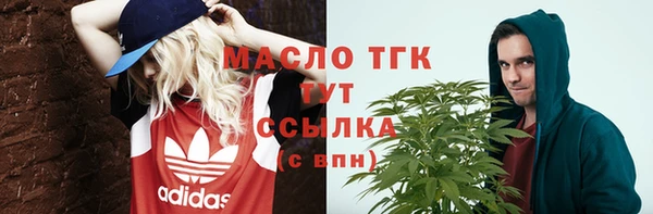 индика Абаза
