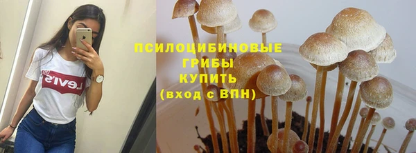 сатива Абинск