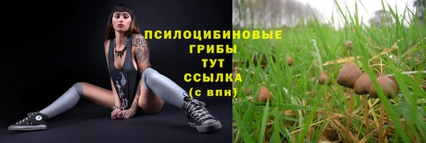 индика Абаза