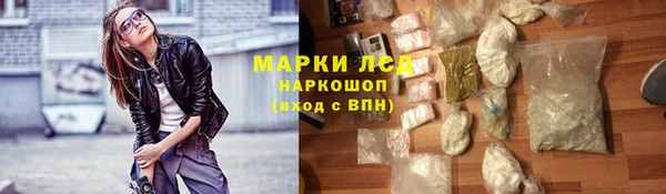 сатива Абинск