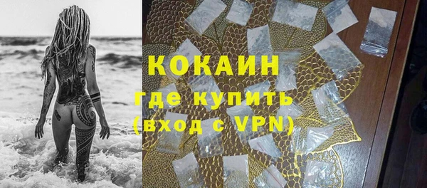 сатива Абинск
