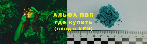 сатива Абинск