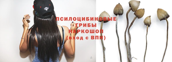эйфоретик Нижний Тагил