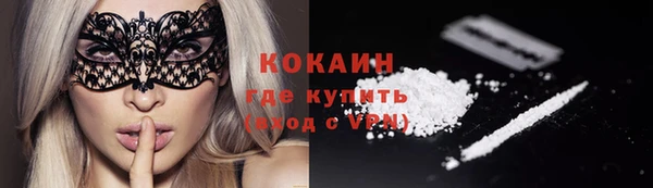 индика Абаза