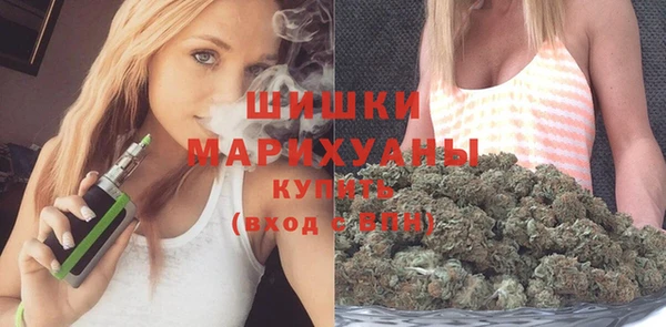 индика Абаза
