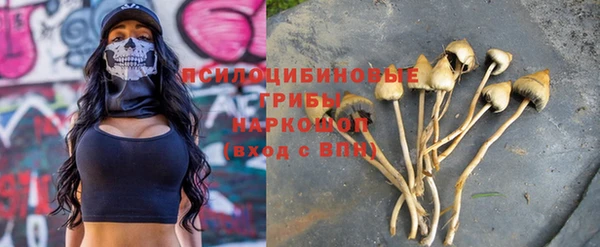 стафф Абдулино