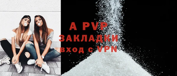 индика Абаза