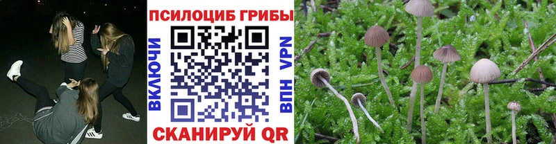 Псилоцибиновые грибы ЛСД  hydra онион  Черногорск 